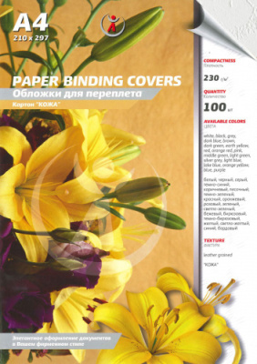 Фото Картон белый кожа А4 100л 250 (230) г/м2, 4123505,СWA400230,3891 от производителя, с доставкой по Хабаровску