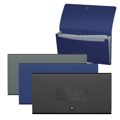 Фото Папка на кнопке 12отд  260х138мм 700мкм 25мм ErichKrause MEGAPOLIS Check size ассорти 50431  от производителя, с доставкой по Хабаровску