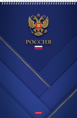 Фото Блокнот А4 80л клетка на гребне синий Россия 80Б4В1сп_23516 от производителя, с доставкой по Хабаровску
