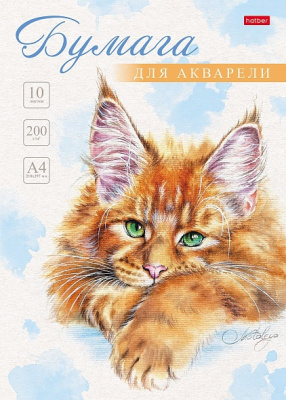 Фото Папка для акварели А4 10л Рыжий котик 10Ба4тВ_29844 от производителя, с доставкой по Хабаровску