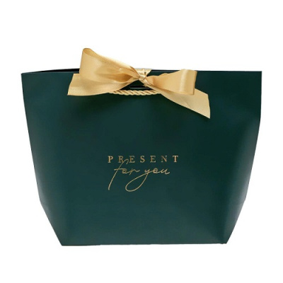 Фото Пакет подарочный 19х20х9см Present for you 4785005 от производителя, с доставкой по Хабаровску