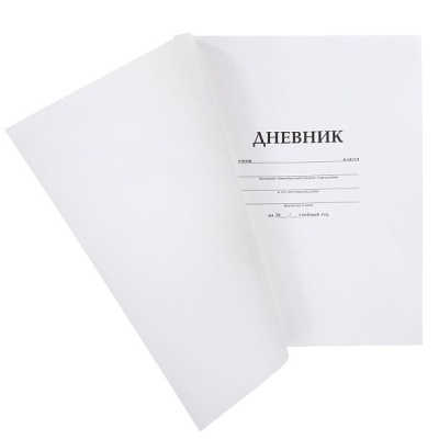 Фото Дневник школьный 1-11кл 40л А5 Белый пластиковая обложка 40Д5В_00131 от производителя, с доставкой по Хабаровску