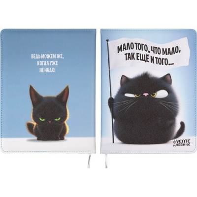 Фото Дневник школьный 1-11кл 48л А5 deVENTE "Мало того, что мало." 2020686 от производителя, с доставкой по Хабаровску