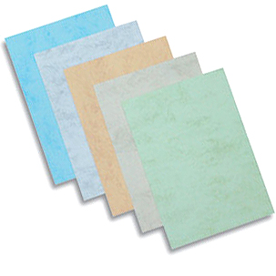 Фото Картон слоновая кость А4 100л Fellowes, Copylux от производителя, с доставкой по Хабаровску