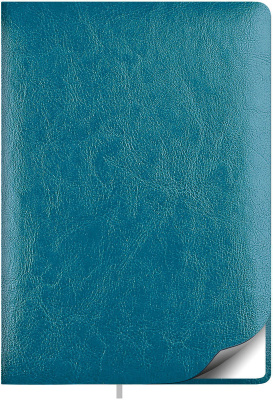 Фото Ежедневник недатированный Lamark Sigma FLEX A5 бирюзовый, 256 стр., закругленные углы, ляссе, белый  от производителя, с доставкой по Хабаровску