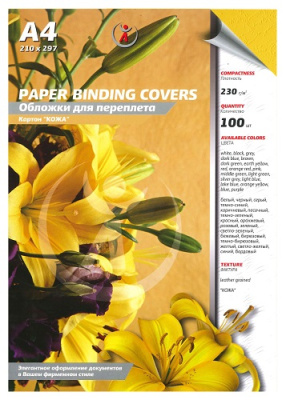 Фото Картон желтый кожа А4 100л 230гр 3904 от производителя, с доставкой по Хабаровску