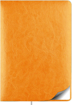 Фото Ежедневник недатированный Lamark Sigma FLEX A5 светло-оранжевый, 256 стр., закругленные углы, ляссе, от производителя, с доставкой по Хабаровску