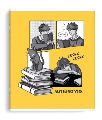 Фото Тетрадь 48л А5 линейка АНИМЕ Литература 63431/50 от производителя, с доставкой по Хабаровску