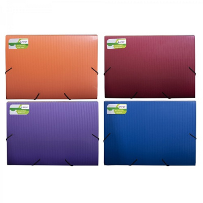 Фото Папка на резинках А4 600мкм 33мм Alingar Flossy матовая ассорти AL0972SD от производителя, с доставкой по Хабаровску