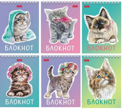 Фото Блокнот А6 40л клетка на гребне Котики бывают разными 40Б6В1гр 080474 от производителя, с доставкой по Хабаровску
