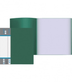 Фото Папка с 100 файлами зеленая deVENTЕ Daily 3107401 от производителя, с доставкой по Хабаровску