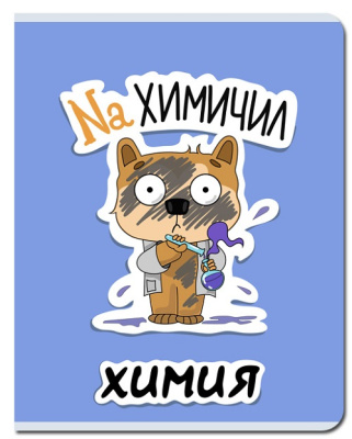 Фото Тетрадь 48л А5 клетка Стикер Химия FB243 от производителя, с доставкой по Хабаровску