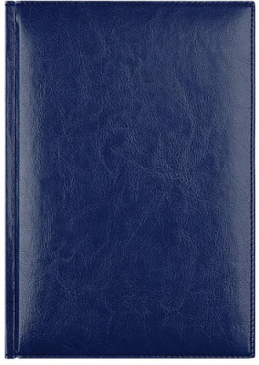 Фото Ежедневник А5 без дат LAMARK Birmingham 352стр синий DR0911-BL от производителя, с доставкой по Хабаровску