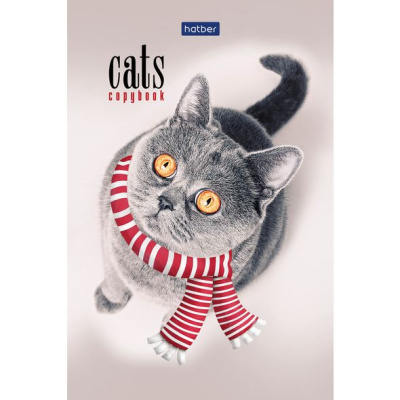 Фото Блокнот А6 40л клетка на склейке Кототерапия 40Б6В1к от производителя, с доставкой по Хабаровску