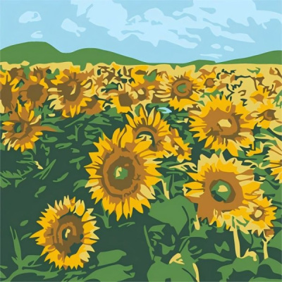 Фото Картина по номерам Draw Me! Bright sunflowers 20х20см 156-HB3678 от производителя, с доставкой по Хабаровску