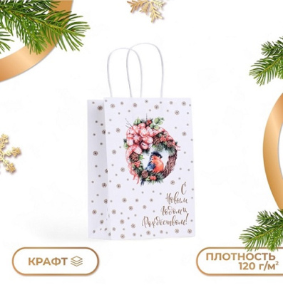 Фото Пакет подарочный 25х18х8см крафт Волшебство 10576043 от производителя, с доставкой по Хабаровску