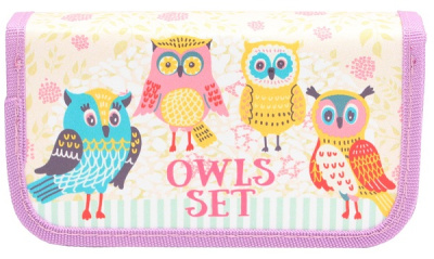 Фото Пенал 2отд Яркие совы 2  19х10,5см прямоугольный ламинированный картон  ПН-5937 от производителя, с доставкой по Хабаровску