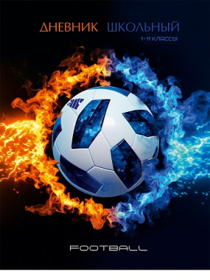 Фото Дневник школьный 1-11кл 40л А5 ПЛАМЯ И ФУТБОЛЬНЫЙ МЯЧ Д40-3846 от производителя, с доставкой по Хабаровску