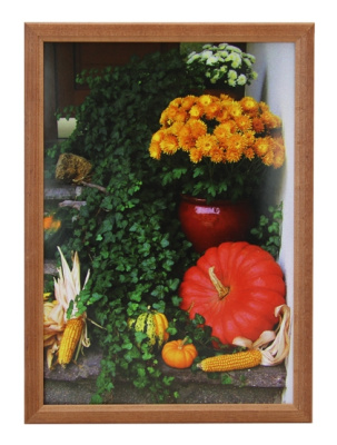 Фото Ф-рамка 10х15 красное дерево 018388 от производителя, с доставкой по Хабаровску