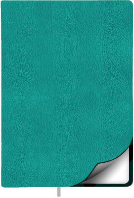 Фото Ежедневник недатированный Lamark Marseille FLEX A5 бирюзовый, 256 стр., закругленные углы, ляссе, бе от производителя, с доставкой по Хабаровску