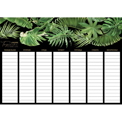 Фото Планер магнитный на неделю 42х29,7см deVENTE Tropicana 6020312 от производителя, с доставкой по Хабаровску