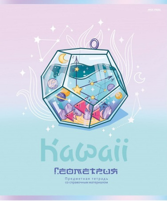 Фото Тетрадь 48л А5 клетка KAWAII Геометрия 48-9441 от производителя, с доставкой по Хабаровску