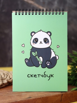 Фото Скетчбук 40л 140х200мм на гребне Аниме Panda 66SB-239 от производителя, с доставкой по Хабаровску