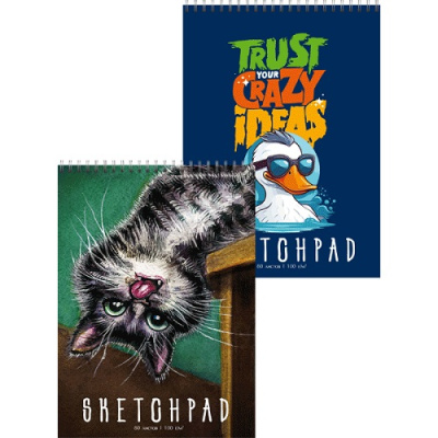 Фото Скетчбук-перевертыш 80л А4 на гребне deVENTE Duck&Cat 2134314 от производителя, с доставкой по Хабаровску