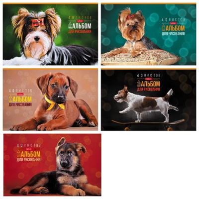 Фото Альбом для рисования А4 40л Любимые питомцы 40А4В_28467 от производителя, с доставкой по Хабаровску