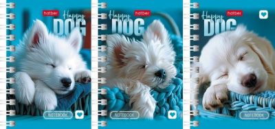 Фото Записная книжка А7 40л клетка на гребне Носики и ушки 40ЗК7В1гр 087522 от производителя, с доставкой по Хабаровску