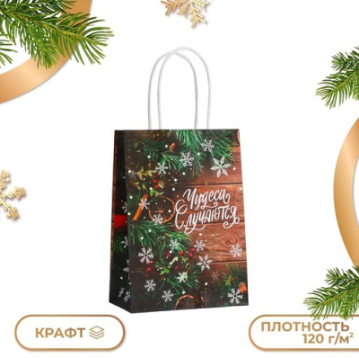 Фото Пакет подарочный 21х15х8см крафт Чудеса 10576037 от производителя, с доставкой по Хабаровску