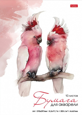 Фото Папка для акварели А4 10л Какаду 10Ба4тВ_22173 от производителя, с доставкой по Хабаровску