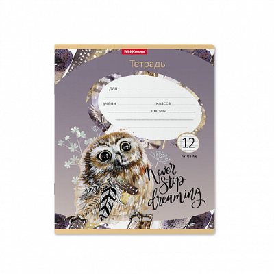 Фото Тетрадь 12л клетка ErichKrause Dreamy Owl 52938 от производителя, с доставкой по Хабаровску