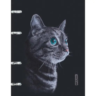 Фото Тетрадь 120л А5 клетка на кольцах Art line 7 ПБИ1205101 от производителя, с доставкой по Хабаровску