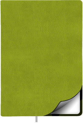 Фото Ежедневник недатированный Lamark Marseille FLEX A5 салатовый, 256 стр., закругленные углы, ляссе, бе от производителя, с доставкой по Хабаровску