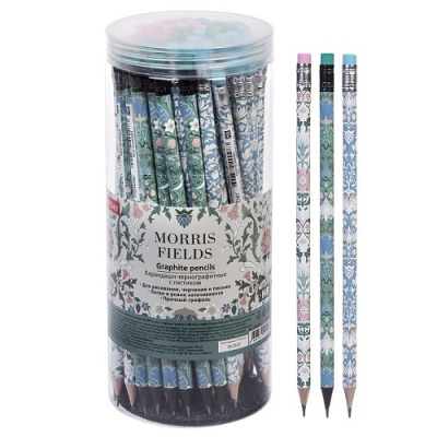 Фото Карандаш чернографитный HB с ластиком Hatber Morris BL_080006 от производителя, с доставкой по Хабаровску