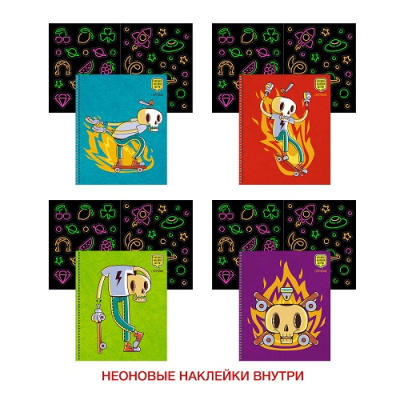 Фото Тетрадь 48л А5 клетка гребень Скейт навсегда! (с наклейками) ТС2Л487267 от производителя, с доставкой по Хабаровску