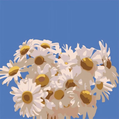 Фото Картина по номерам 20х20см Draw Me! Field daisies 156-HB3103 от производителя, с доставкой по Хабаровску