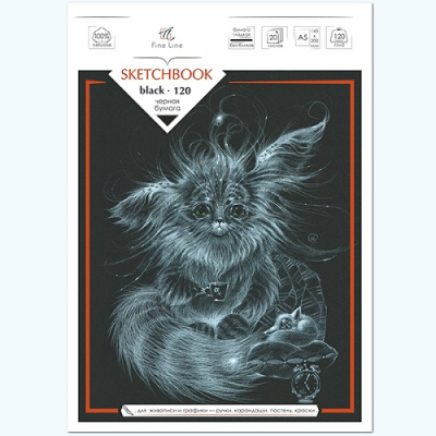 Фото Скетчбук 20л А5 на скобе черная бумага Sketchbook Black 2824 от производителя, с доставкой по Хабаровску