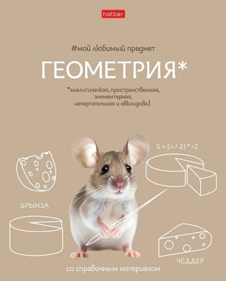 Фото Тетрадь 48л А5 клетка Мой любимый предмет Геометрия 48Т5лВd1_33136 от производителя, с доставкой по Хабаровску