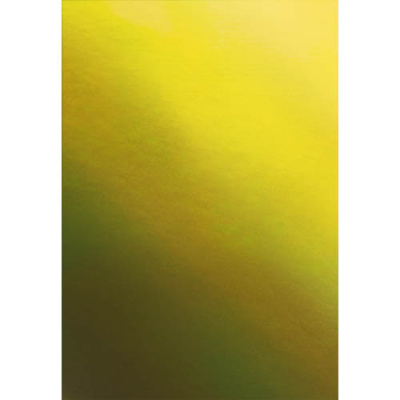 Фото Записная книжка А5 100л клетка CHAMELEON Золотистый КЗХ51002578 от производителя, с доставкой по Хабаровску