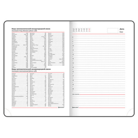 Фото Ежедневник А5 без дат BRAUBERG Favorite 320стр иск кожа темно-синий 123396 от производителя, с доставкой по Хабаровску