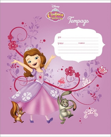 Фото Тетрадь 12л линейка София Прекрасная 12Т5В2 от производителя, с доставкой по Хабаровску