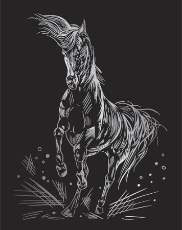 Фото Гравюра серебро Hobbius Лошадь SGHK № 59 от производителя, с доставкой по Хабаровску