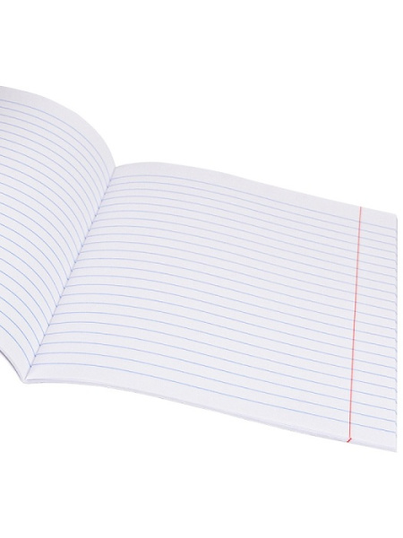 Фото Тетрадь 12л линейка зеленая Prof-Press 12-5749 от производителя, с доставкой по Хабаровску