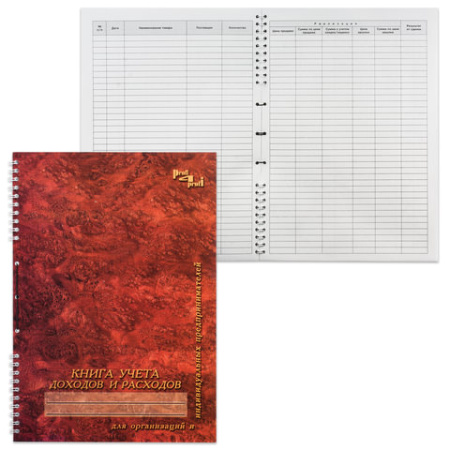 Фото Книга учета доходов и расходов для организаций и ИП 50л на гребне 13с21-50 130171 от производителя, с доставкой по Хабаровску