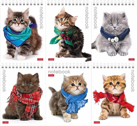 Фото Блокнот А6 40л клетка на гребне Милые котята 40Б6В1гр 004667 от производителя, с доставкой по Хабаровску