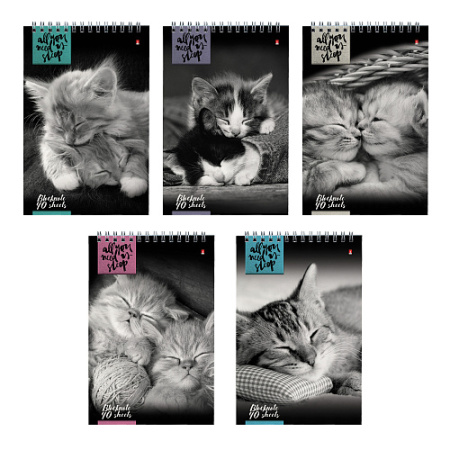 Фото Блокнот А5 40л клетка на гребне КОШКИ 3-40-462 от производителя, с доставкой по Хабаровску